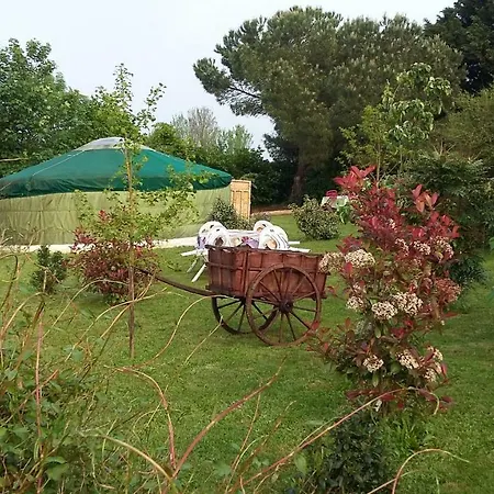 Insolites Du Bonheur De Vivre