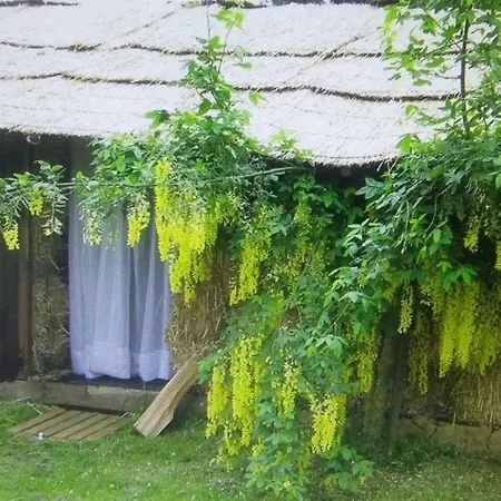 Campsite Insolites Du Bonheur De Vivre *